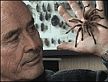 Georges Brossard: "I dream about them, I eat them - I love bugs" (Photo: BBC)