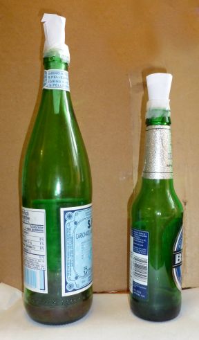 Two Fruit Fly traps made from beverage bottles.